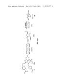 POSITRON EMISSION TOMOGRAPHY PROBE TO MONITOR SELECTED SUGAR METABOLISM IN     VIVO diagram and image