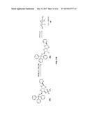 POSITRON EMISSION TOMOGRAPHY PROBE TO MONITOR SELECTED SUGAR METABOLISM IN     VIVO diagram and image