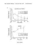 METHODS OF MODULATING THROMBOCYTOPENIA  AND MODIFIED TRANSGENIC PIGS diagram and image