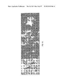 METHODS OF MODULATING THROMBOCYTOPENIA  AND MODIFIED TRANSGENIC PIGS diagram and image