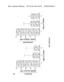 METHODS OF MODULATING THROMBOCYTOPENIA  AND MODIFIED TRANSGENIC PIGS diagram and image