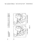 METHODS OF MODULATING THROMBOCYTOPENIA  AND MODIFIED TRANSGENIC PIGS diagram and image