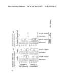 METHODS OF MODULATING THROMBOCYTOPENIA  AND MODIFIED TRANSGENIC PIGS diagram and image