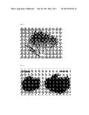 LETTUCE VARIETY 79-65 RZ diagram and image