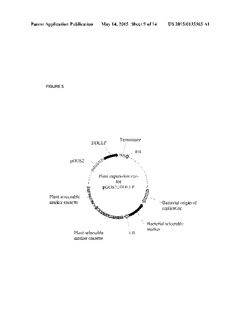 PLANTS HAVING ONE OR MORE ENHANCED YIELD-RELATED TRAITS AND METHOD FOR     MAKING SAME - diagram, schematic, and image 10