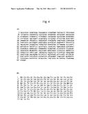 TECHNIQUE FOR REGULATING FLOWER BUD FORMATION IN SUGARCANE diagram and image