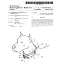 LEASH DETANGLE APPARATUS AND METHODS OF USE diagram and image