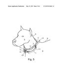 LEASH DETANGLE APPARATUS AND METHODS OF USE diagram and image