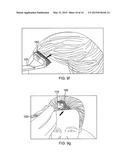 HAIR DYE APPLICATOR AND METHODS OF USE diagram and image