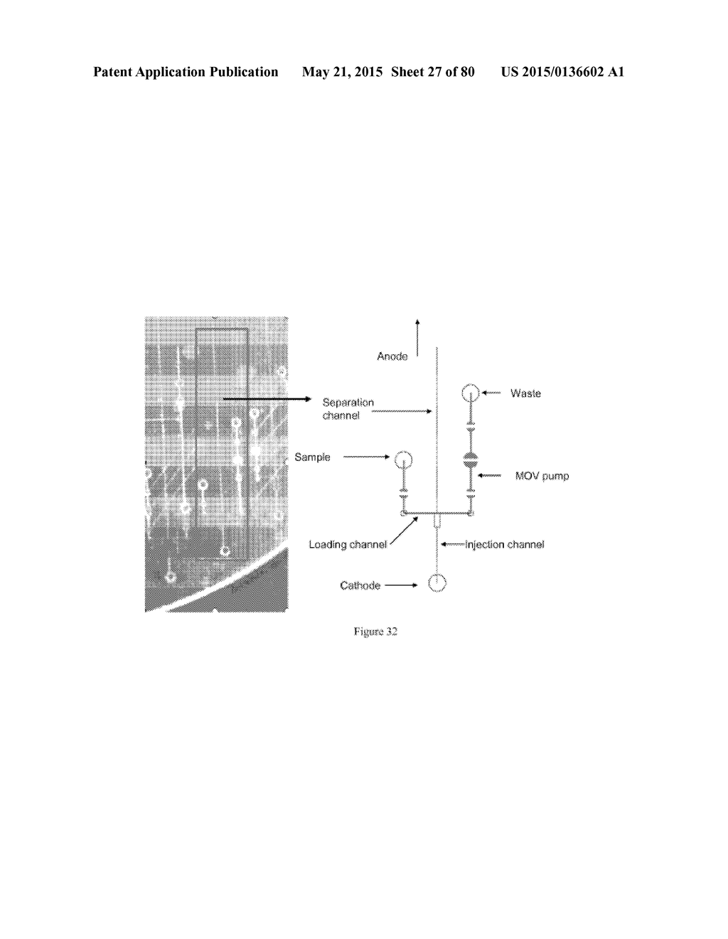 UNIVERSAL SAMPLE PREPARATION SYSTEM AND USE IN AN INTEGRATED ANALYSIS     SYSTEM - diagram, schematic, and image 28