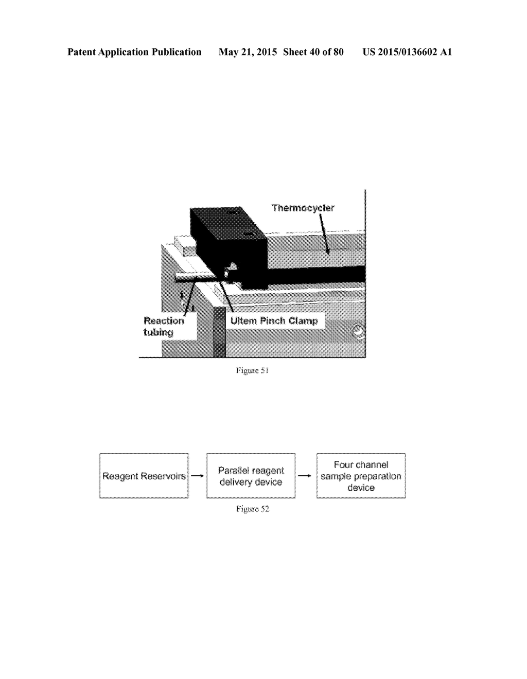 UNIVERSAL SAMPLE PREPARATION SYSTEM AND USE IN AN INTEGRATED ANALYSIS     SYSTEM - diagram, schematic, and image 41