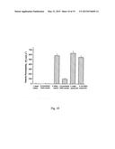 METHOD OF MAKING A MEMBRANE AND A MEMBRANE FOR WATER FILTRATION diagram and image