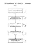 POINT OF GENERATION SMALL VOLUME BIOREACTOR FOR HORMONE AND ENDOCRINE     DISRUPTING CHEMICAL REMEDIATION diagram and image