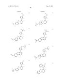 ORGANIC ELECTROLUMINESCENT MATERIALS AND DEVICES diagram and image