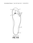 Configurable footwear sole structures controlled by a smartphone app     algorithm using sensors in the smartphone and the soles diagram and image