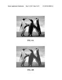 High dynamic range, high contrast projection systems diagram and image