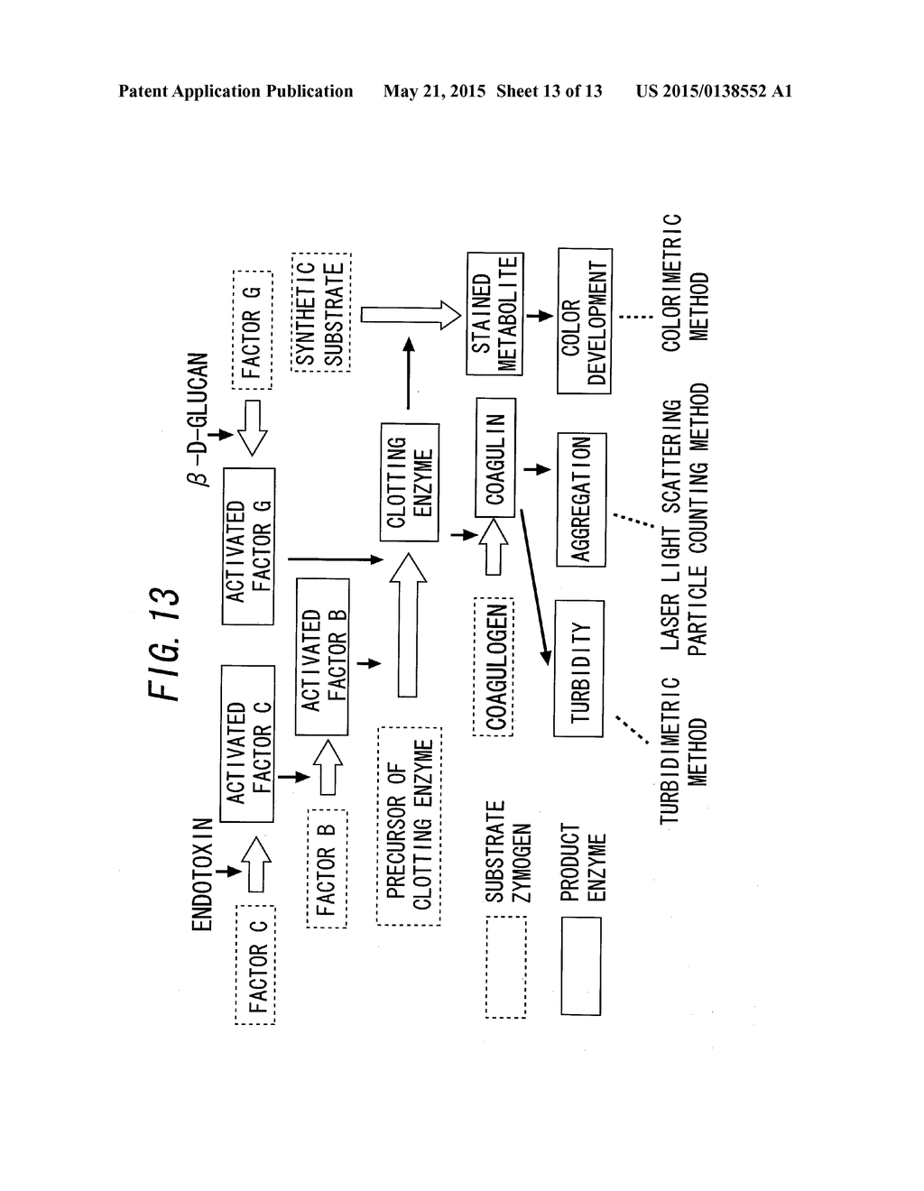 APPARATUS AND METHOD FOR MEASURING PHYSIOLOGICALLY ACTIVE SUBSTANCE OF     BIOLOGICAL ORIGIN - diagram, schematic, and image 14