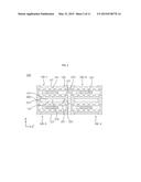 Light Emitting Device Module diagram and image