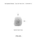 METHOD FOR IDENTIFYING FINGERPRINT AND ELECTRONIC DEVICE THEREOF diagram and image