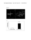 Dendrimer Conjugates for Coating Cells diagram and image