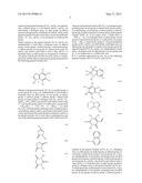 LABELING COMPOSITION FOR INTRAOCULAR TISSUE, LABELING METHOD OF     INTRAOCULAR TISSUE, AND SCREENING METHOD diagram and image