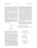 LABELING COMPOSITION FOR INTRAOCULAR TISSUE, LABELING METHOD OF     INTRAOCULAR TISSUE, AND SCREENING METHOD diagram and image