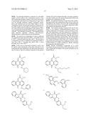 LABELING COMPOSITION FOR INTRAOCULAR TISSUE, LABELING METHOD OF     INTRAOCULAR TISSUE, AND SCREENING METHOD diagram and image