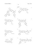 LABELING COMPOSITION FOR INTRAOCULAR TISSUE, LABELING METHOD OF     INTRAOCULAR TISSUE, AND SCREENING METHOD diagram and image