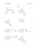 LABELING COMPOSITION FOR INTRAOCULAR TISSUE, LABELING METHOD OF     INTRAOCULAR TISSUE, AND SCREENING METHOD diagram and image