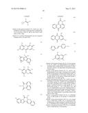 LABELING COMPOSITION FOR INTRAOCULAR TISSUE, LABELING METHOD OF     INTRAOCULAR TISSUE, AND SCREENING METHOD diagram and image