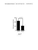 METHODS TO DECREASE SUSCEPTIBILITY TO ASTHMATIC BRONCHOCONSTRICTION diagram and image