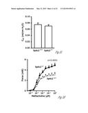 METHODS TO DECREASE SUSCEPTIBILITY TO ASTHMATIC BRONCHOCONSTRICTION diagram and image