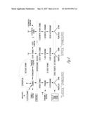 METHODS TO DECREASE SUSCEPTIBILITY TO ASTHMATIC BRONCHOCONSTRICTION diagram and image