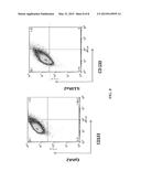 CANCER STEM CELL TARGETED CANCER VACCINES diagram and image