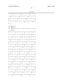 ADENO-ASSOCIATED VIRUS (AAV) SEROTYPE 8 SEQUENCES, VECTORS CONTAINING     SAME, AND USES THEREFOR diagram and image