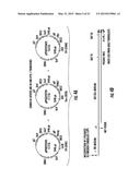 Reprogramming Blood Cells to Pluripotent and Multipotent Stem Cells diagram and image