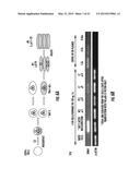 Reprogramming Blood Cells to Pluripotent and Multipotent Stem Cells diagram and image