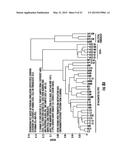 Reprogramming Blood Cells to Pluripotent and Multipotent Stem Cells diagram and image