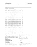 NOVEL LACTIC ACID BACTERIUM diagram and image