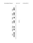 RCA LOCUS ANALYSIS TO ASSESS SUSCEPTIBILITY TO AMD AND MPGNII diagram and image