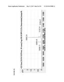 GLYCOENGINEERED BINDING PROTEIN COMPOSITIONS diagram and image