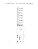 GLYCOENGINEERED BINDING PROTEIN COMPOSITIONS diagram and image