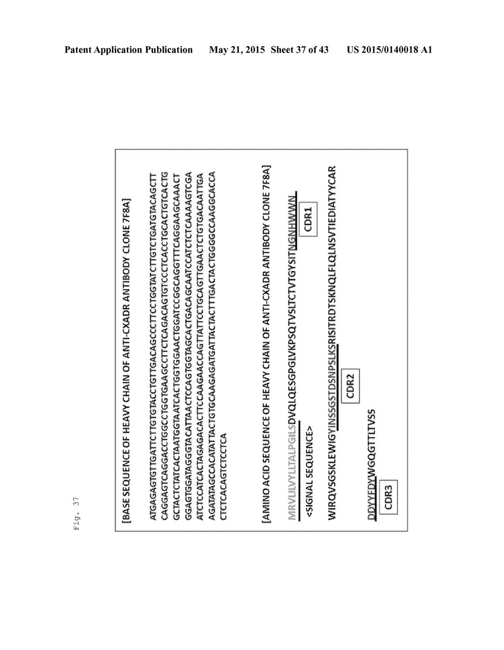 ANTI-CXADR ANTIBODY - diagram, schematic, and image 38