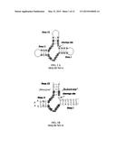 PHARMACEUTICAL COMPOSITION FOR TREATING ADVERSE REACTIONS DUE TO     ADMINISTRATION OF SPIEGELMERS diagram and image