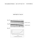 PHARMACEUTICAL COMPOSITION FOR TREATING ADVERSE REACTIONS DUE TO     ADMINISTRATION OF SPIEGELMERS diagram and image