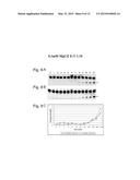 PHARMACEUTICAL COMPOSITION FOR TREATING ADVERSE REACTIONS DUE TO     ADMINISTRATION OF SPIEGELMERS diagram and image