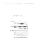 PHARMACEUTICAL COMPOSITION FOR TREATING ADVERSE REACTIONS DUE TO     ADMINISTRATION OF SPIEGELMERS diagram and image