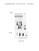 PHARMACEUTICAL COMPOSITION FOR TREATING ADVERSE REACTIONS DUE TO     ADMINISTRATION OF SPIEGELMERS diagram and image