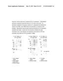 Antigens and Vaccines Directed Against Human Enteroviruses diagram and image