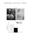 NANOCLUSTERS COMPOSITIONS AND METHODS diagram and image